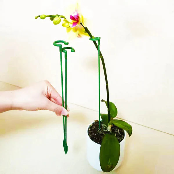 Hastes para Suporte de Plantas de Jardim | LeafLift